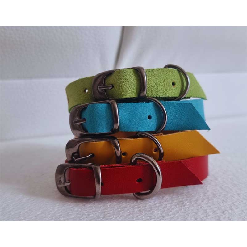 CAT-COLLAR-1
